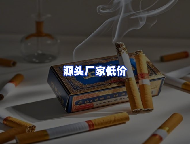专业团队